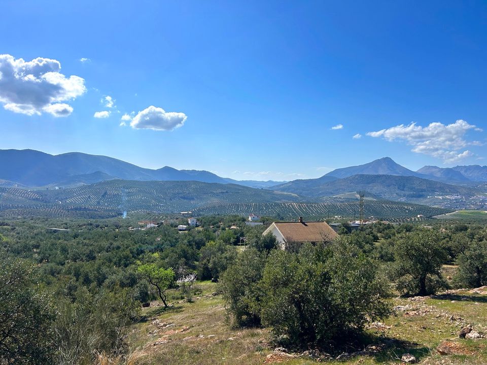 Landejendom i Priego De Cordoba, Cordoba - foto 2